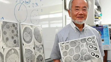 Japon Bilim İnsanı Yoshinori Ohsumi Orucun Faydalarını İspatladı! Nobel Ödülü Kazandı